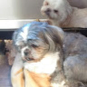 Meet your Posher, Mary gortney